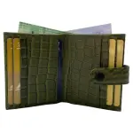 Green [croco]