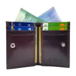Credit Cardholder & Compact Wallet # 1977L