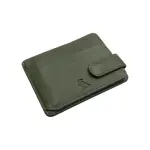 Green NDM