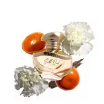 Ahmed Al Maghribi Silk Oud Eau De Parfum 60ml – Unisex